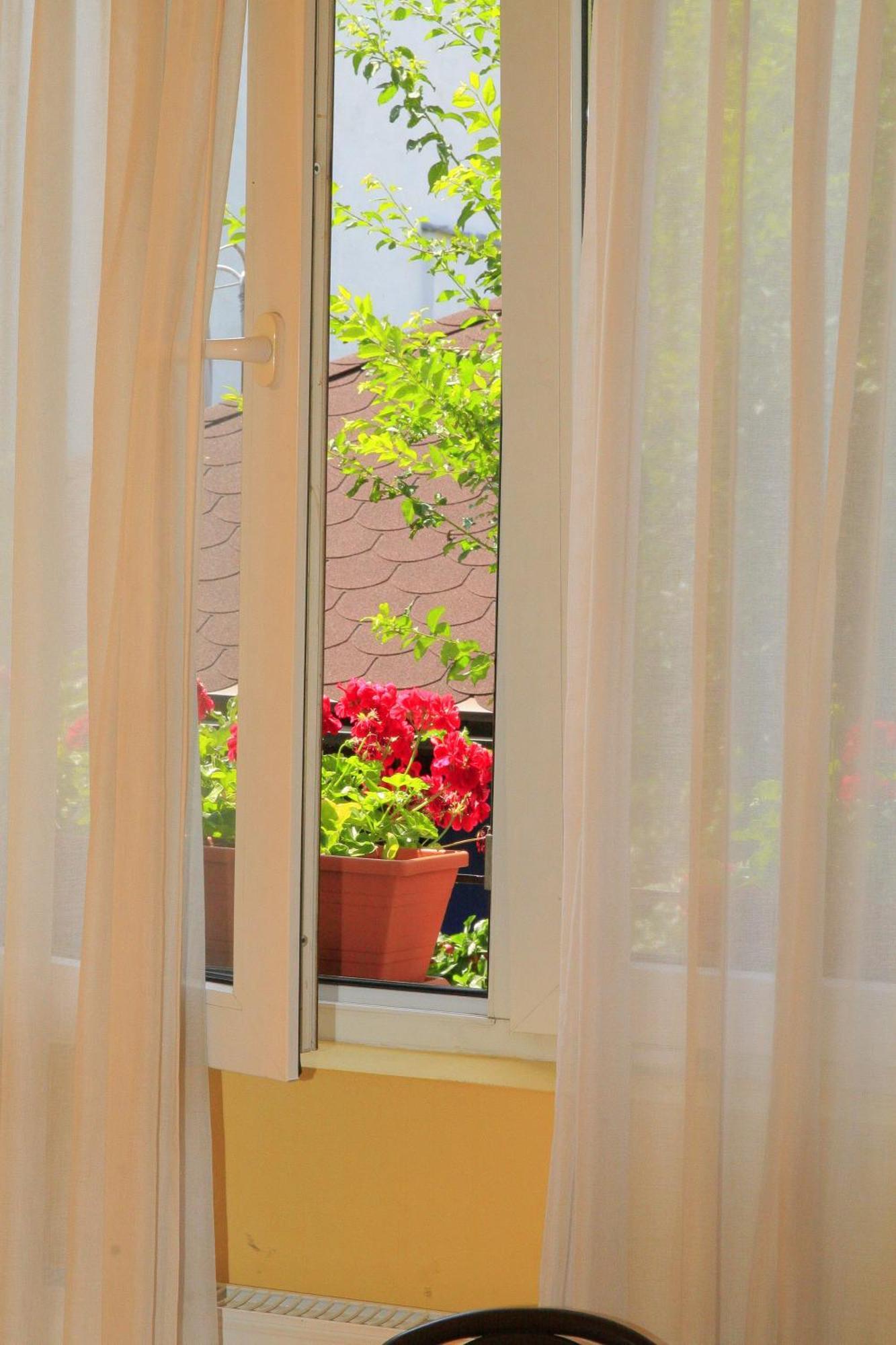 Pensiunea Blanca レギン 部屋 写真